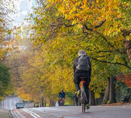 London in the Autumn