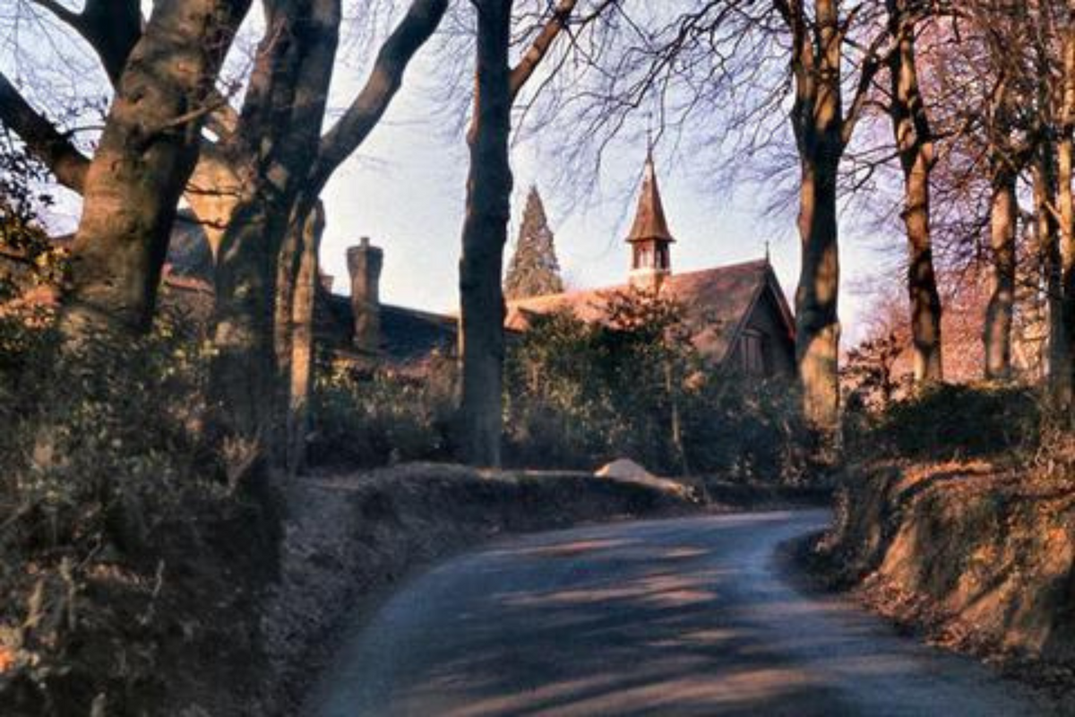 Surrey countryside 