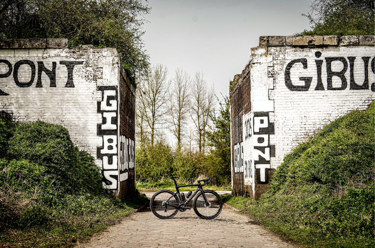 Mastering the Cobbles: Riding the Paris-Roubaix Sportive