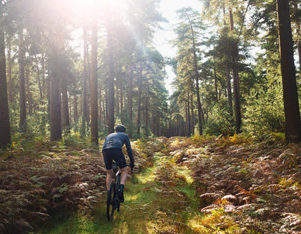 Swinley forest gravel