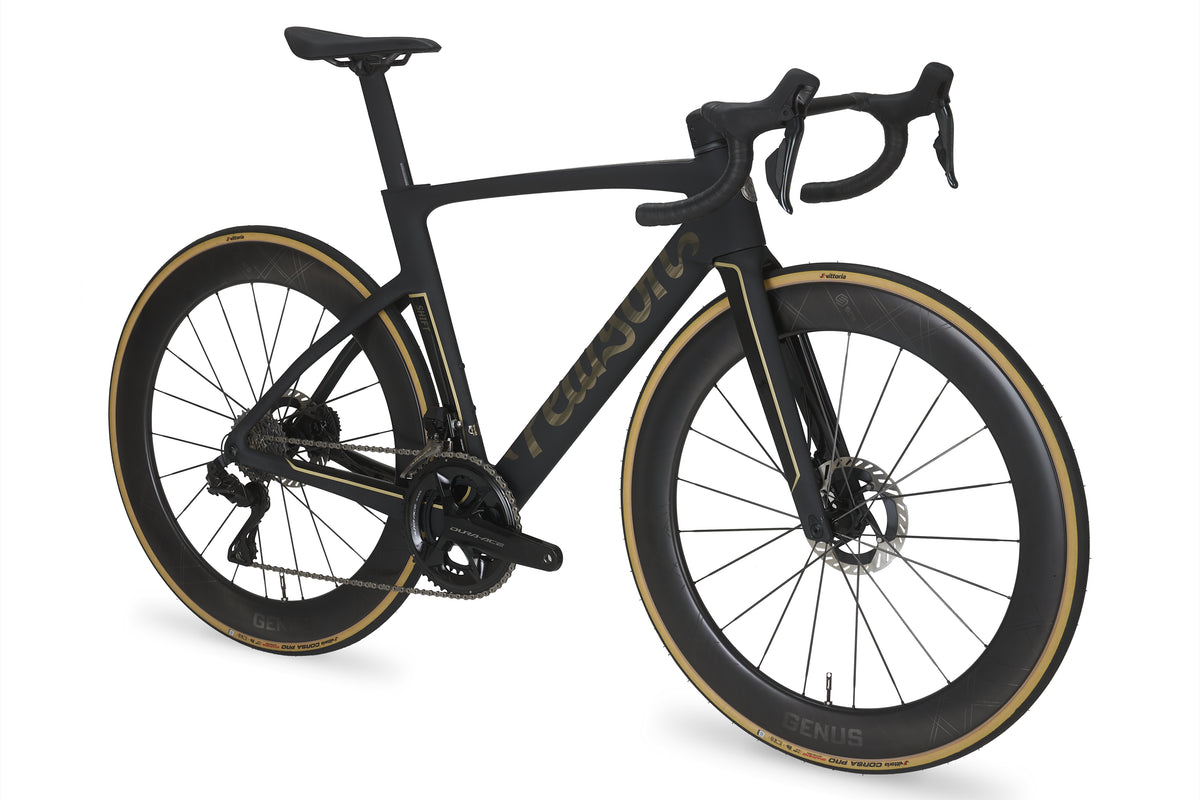 Shift (2024) - Race Performance