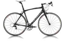 Carbon Audax