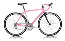 Velo Rose